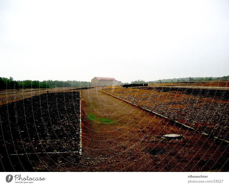 Nur etwas Grün Denkmal Buchenwald trist Tod Gras Bodendecker Haus historisch Brandasche Kontrast