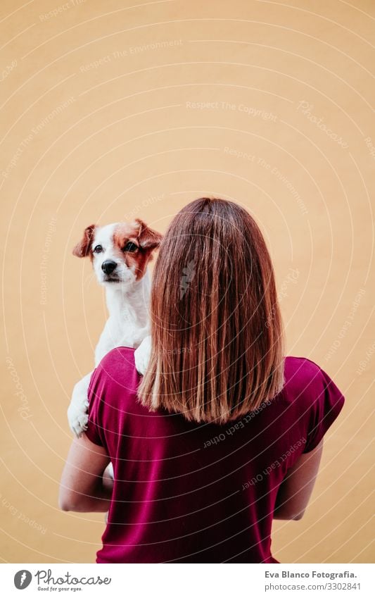 junge frau hält einen süßen kleinen jack russell hund auf der schulter. gelbe wand hintergrund Frau Hund Haustier Liebe gelber Hintergrund Großstadt Halt