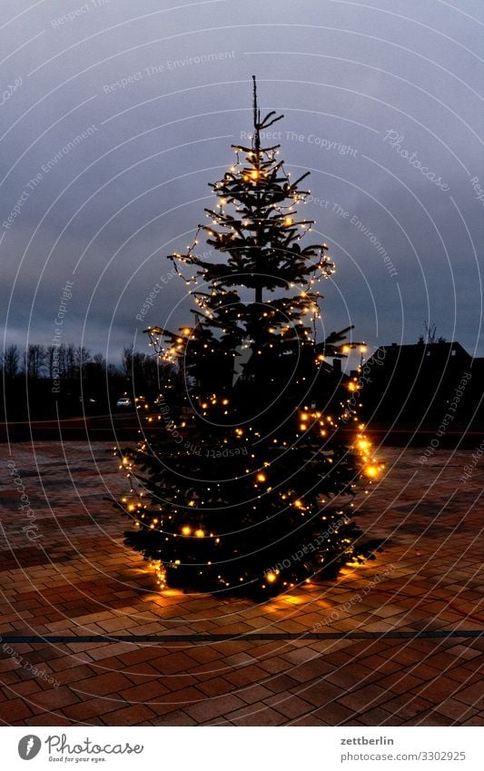 Öffentlicher Weihnachtsbaum Dorf Insel Küste Landschaft Mecklenburg-Vorpommern Nebensaison Ostsee Rügen Winter Weihnachten & Advent Weihnachtsbaumspitze Markt