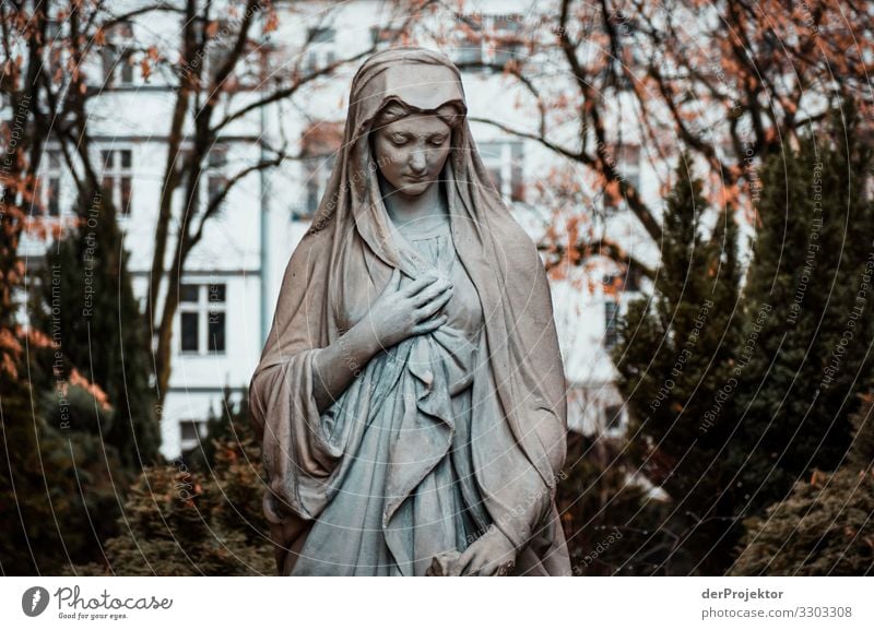 In stillen Gedenken auf einem Friedhof Grabmal Lichterscheinung Sonnenstrahlen Beerdigung Gedeckte Farben immer Farbfoto Engel Textfreiraum links