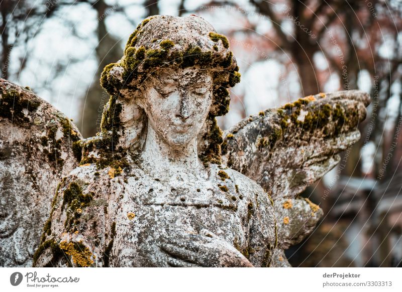 Engel auf Friedhof Blick nach vorn Vorderansicht Ganzkörperaufnahme Oberkörper Porträt Starke Tiefenschärfe Kontrast Schatten Licht Tag Hintergrund neutral