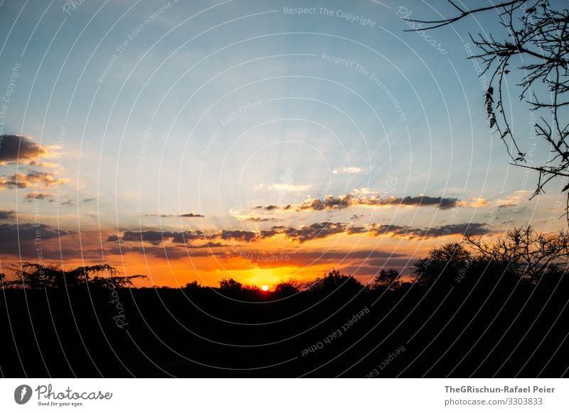 Sonnenuntergang in Afrika Wolken Himmel Natur rot Sommer Licht Horizont Menschenleer orange Silhouette Sonnenstrahlen