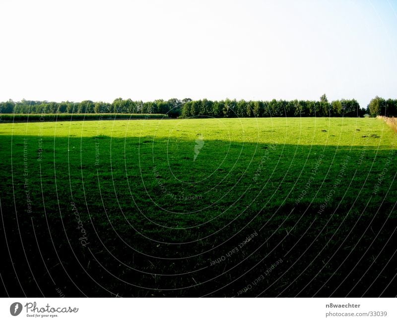 Licht und Schatten Feld grün gelb dunkel Feldrand Zwillbrocker Venn Übergang hell Eingrenzung