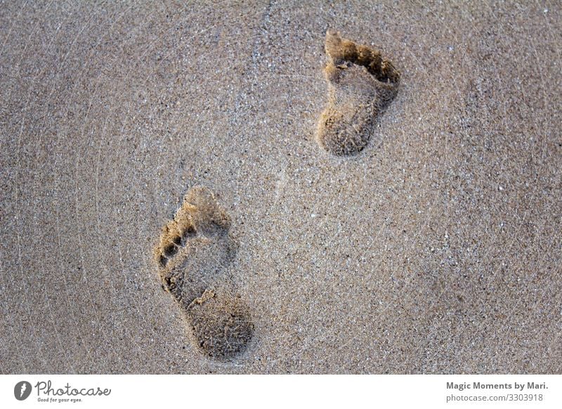 Fußspuren im Sand Ferien & Urlaub & Reisen Bewegung schön Strand Sommer Farbfoto