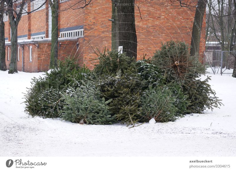 Tannenbaum Abholung Weihnachtsbaum Entsorgung Lifestyle Weihnachten & Advent Silvester u. Neujahr Winter Schnee Baum werfen Deutschland Großstadt Recycling