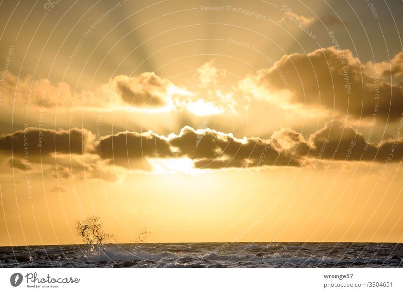 Abendsonne mit Wellenspritzer links Natur Luft Wasser Himmel Sonne Sonnenaufgang Sonnenuntergang Sonnenlicht Herbst Schönes Wetter Ostsee maritim mehrfarbig