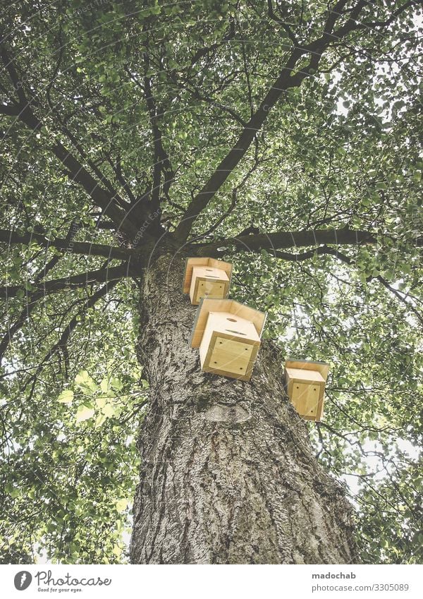 Baumhaus Häusliches Leben Wohnung Hausbau Natur Pflanze Vogel Sympathie Tierliebe Gastfreundschaft Solidarität Hilfsbereitschaft Verantwortung Futterhäuschen