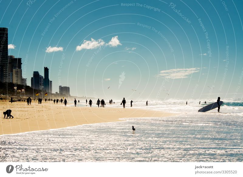 Surfers Paradise Sandstrand Wärme Pazifik Pazifikstrand Skyline Erholung frei Gelassenheit erleben Freiheit Horizont Inspiration Strandleben Hintergrund neutral