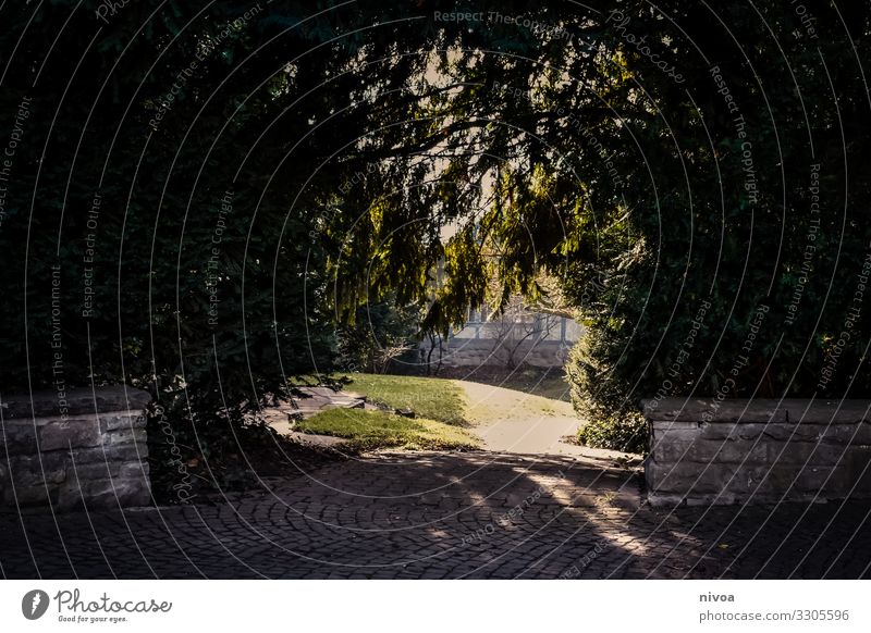 Weg zu einem Park Wege & Pfade Straße Baum Allee Farbfoto Außenaufnahme Schatten Menschenleer Natur Mauer pflasterstein Platz Landschaft Tag Schönes Wetter