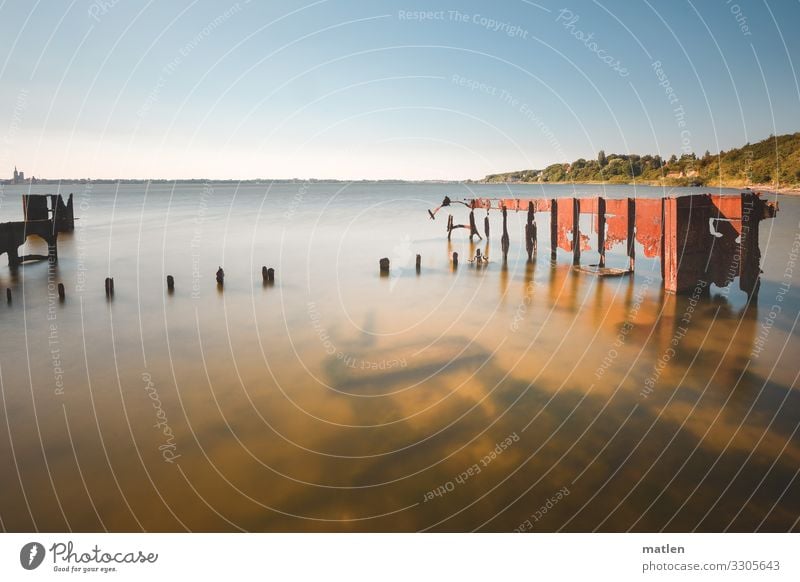 Strelasund Landschaft Himmel Wolkenloser Himmel Horizont Sonnenlicht Herbst Schönes Wetter Baum Küste Strand Bucht Ostsee Hafenstadt Menschenleer alt maritim