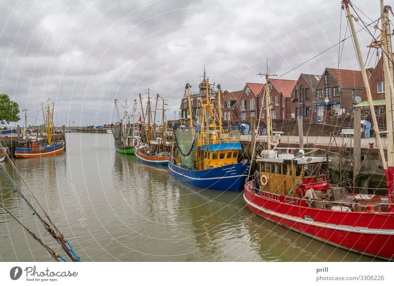 Neuharlingersiel in East Frisia Meer Kultur Wasser Fischerdorf Hafen Fischerboot Wasserfahrzeug Tradition ankern Anlegestelle Krabbenkutter Ostfriesland