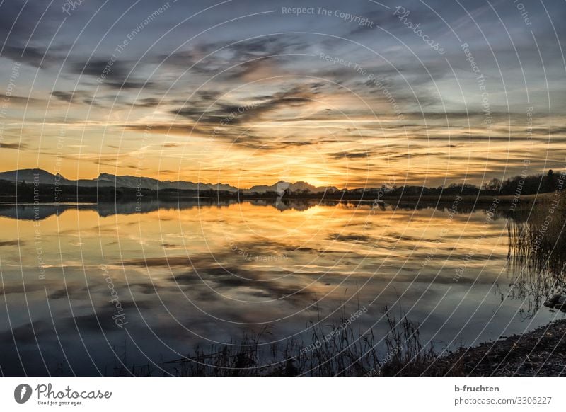 Sonnenuntergang Leben Zufriedenheit Erholung ruhig Umwelt Natur Landschaft Wolken Sonnenaufgang Herbst Winter Schönes Wetter Alpen Berge u. Gebirge Seeufer