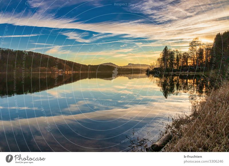 Abendstimmung am See harmonisch ruhig Meditation Ferien & Urlaub & Reisen Tourismus Winter Natur Landschaft Pflanze Himmel Wolken Sonnenaufgang Sonnenuntergang