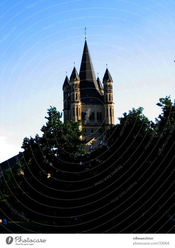 St. Martin Köln Baum grün ruhig Gotteshäuser Religion & Glaube Turm Altstadt Himmel blau Abend