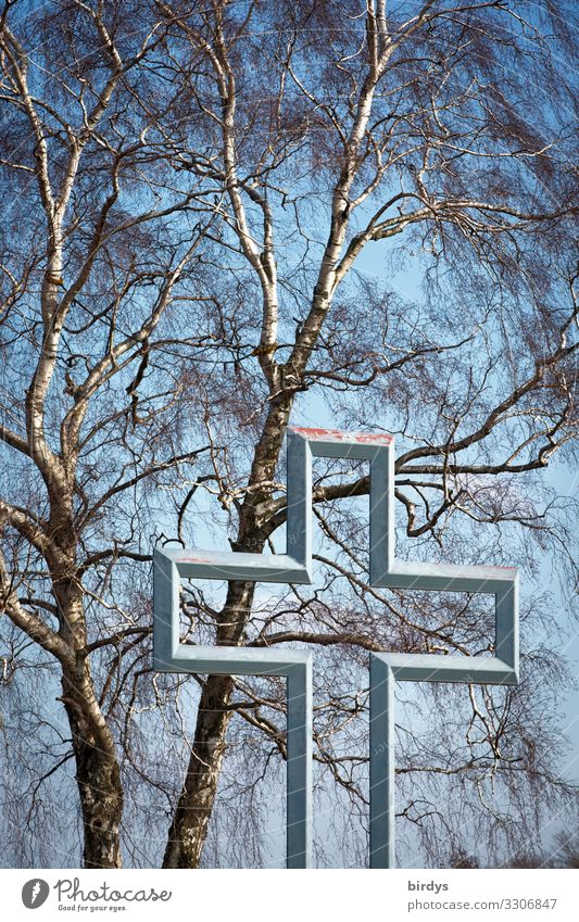 durchlässig und inhaltslos Wolkenloser Himmel Frühling Herbst Schönes Wetter Baum Birke Stahl Zeichen Kreuz authentisch außergewöhnlich Freundlichkeit grau