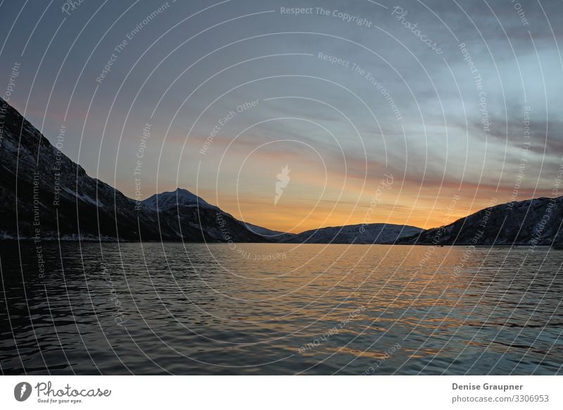 in the fjords of Norway at sunset Design Ferien & Urlaub & Reisen Sommer Umwelt Natur Landschaft Wasser Klima Klimawandel Wetter Schönes Wetter Fjord landscape