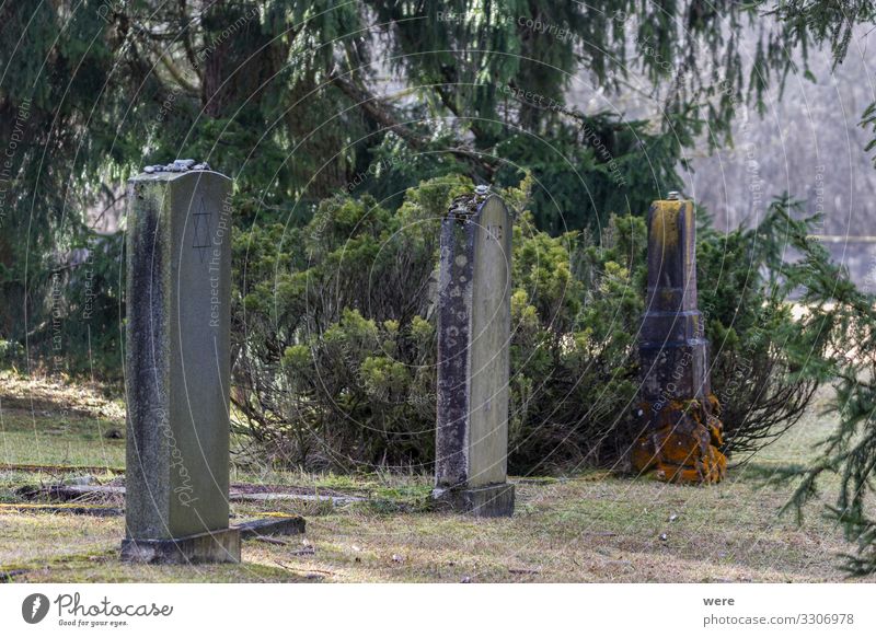 Grave and memorial stones Bauwerk Denkmal Traurigkeit Grave and memorial stones of a memorial Jewish cemetery National Socialism World War II