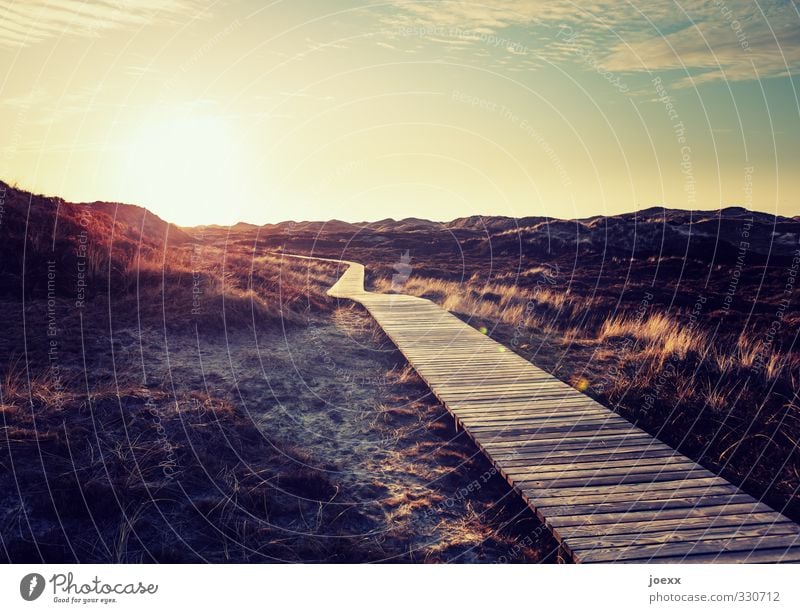 Ewig Landschaft Horizont Sonne Sonnenaufgang Sonnenuntergang Sonnenlicht Sommer Schönes Wetter Insel Amrum Wege & Pfade schön Wärme blau braun gelb