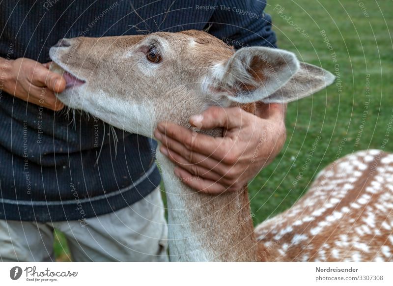 Vertrauen Freizeit & Hobby Arbeit & Erwerbstätigkeit Mensch Hand Natur Gras Park Wiese Tier Wildtier 1 Fressen füttern Freundlichkeit nachhaltig positiv