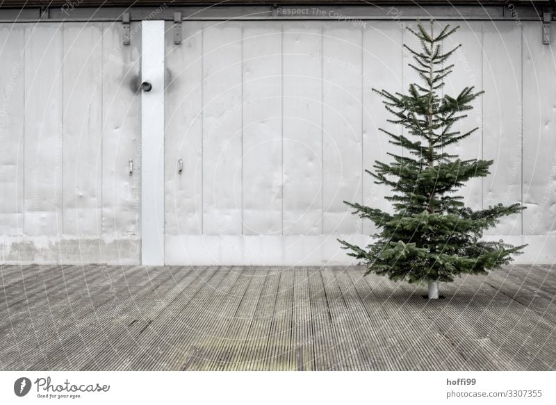 schmuckloser Weihnachtsbaum auf Holzboden vor Metallwand Baum Gebäude Mauer Wand Fassade Terrasse Beton Stahl Armut ästhetisch außergewöhnlich dunkel