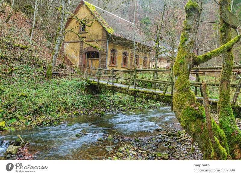 Burgmühle, Naturfreundehaus, Gauchachschlucht Alt Gebäude Landschaft baum blätter brücke burgmühle bäume deutschland draußen fluss flussbett flusslauf gauchach