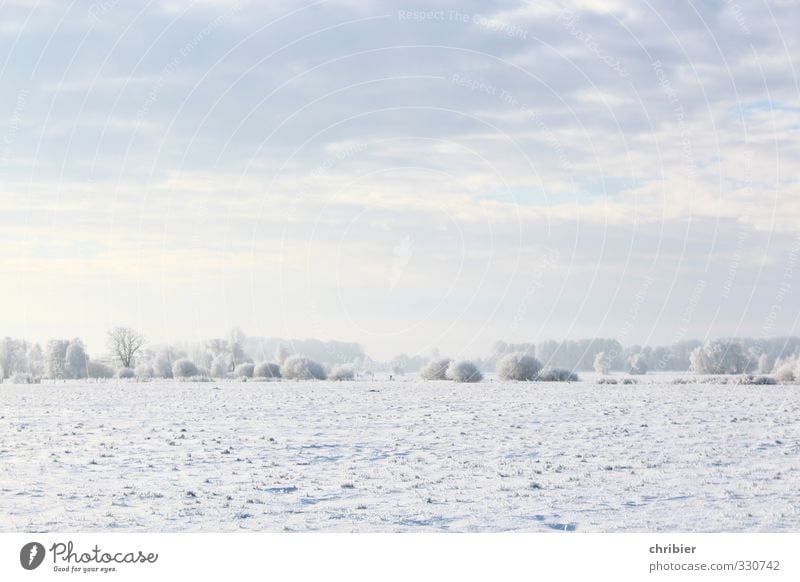 Flachwinter Umwelt Natur Landschaft Himmel Wolken Horizont Winter Schönes Wetter Schnee Feld frei Unendlichkeit hell kalt blau weiß ruhig Erholung Feuchtwiese