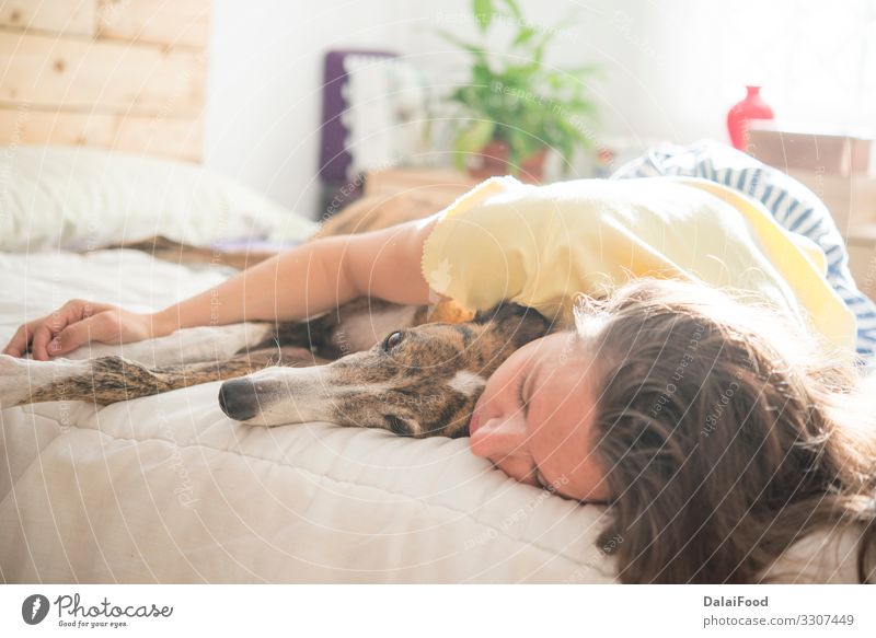 Frau und Hund im Schlafzimmer Lifestyle Freude Glück Erholung Haus Kind Mensch Erwachsene Mann Mutter Familie & Verwandtschaft Paar Kindheit Tier Haustier