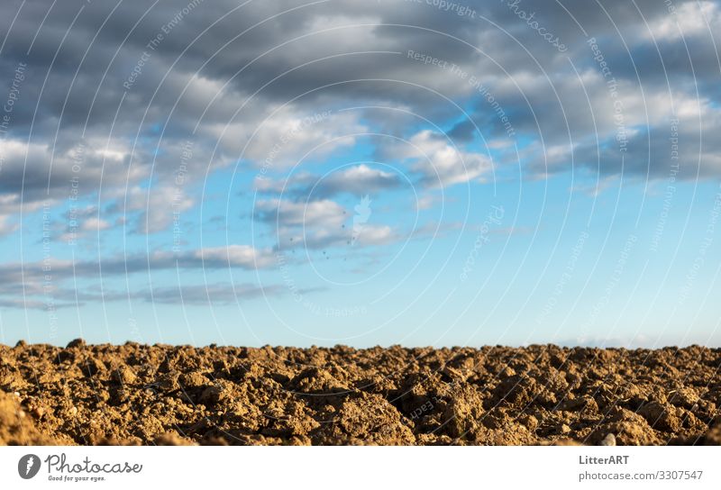 ERDE UNSER Umwelt Natur Erde Himmel Horizont Frühling Klimawandel Schönes Wetter Dürre Feld Ackerboden brachland "verbrannte erde," "fruchtbare erde," blau