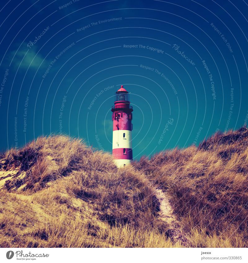 Stromsparmodus Landschaft Himmel Sommer Schönes Wetter Gras Hügel Nordsee Leuchtturm alt groß hoch retro schön blau braun rot weiß Horizont Idylle Sicherheit