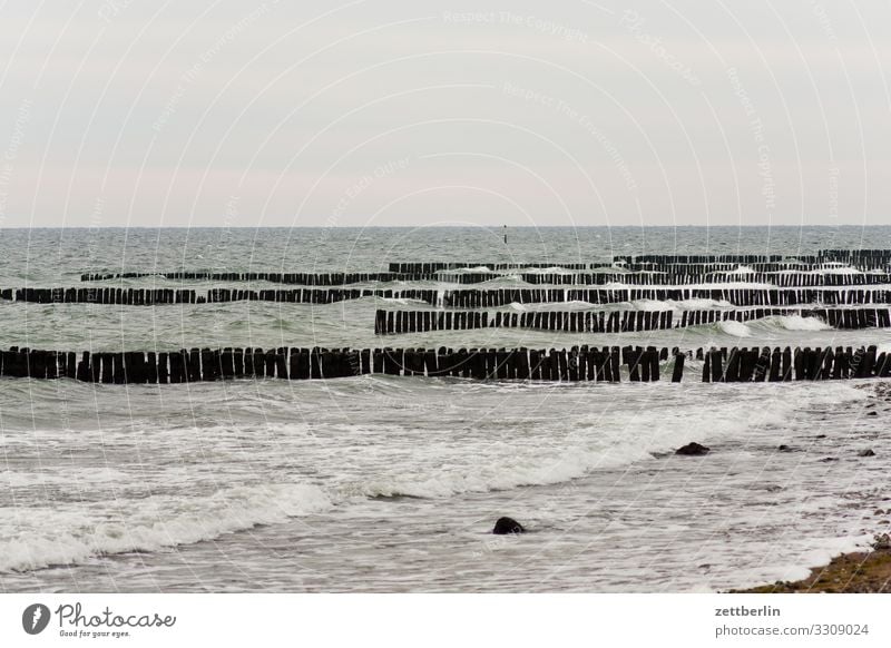 Ostsee vor Dranske Insel Küste Küstenwache Landschaft Mecklenburg-Vorpommern Meer Ostseekap Ostseeinsel Rügen Ferien & Urlaub & Reisen Wasser Wellen Winter Wind