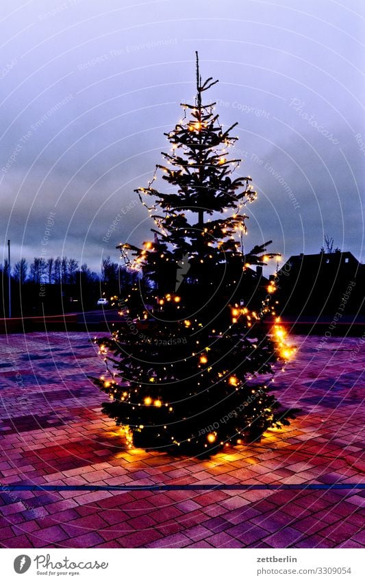 Marktplatz mit Weihnachtsbaum Dorf Insel Küste Landschaft Mecklenburg-Vorpommern Nebensaison Ostsee Rügen Winter Weihnachten & Advent Weihnachtsbaumspitze Platz