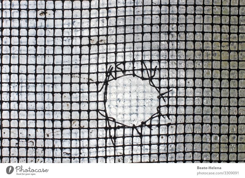 A whole to look through - beschädigter Zaun vor Glasscheibe Milchglas defekt Fenster Fensterscheibe Strukturen & Formen kaputt Menschenleer Schaden Regentropfen