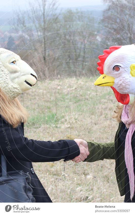 Ostern steht vor der Tür Frühling Tiere Begegnung Lamm Huhn Hahn Vorfreude Natur Feier Fest Tierwelt Zukunft Zuversicht