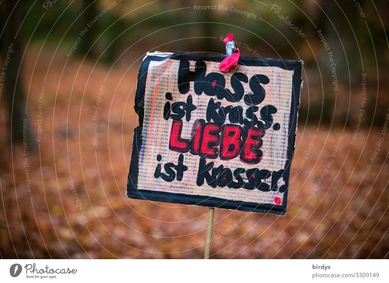 krass Jugendkultur Subkultur Punk Natur Herbst Park Wald Schriftzeichen Schilder & Markierungen Hinweisschild Warnschild Graffiti Liebe authentisch positiv