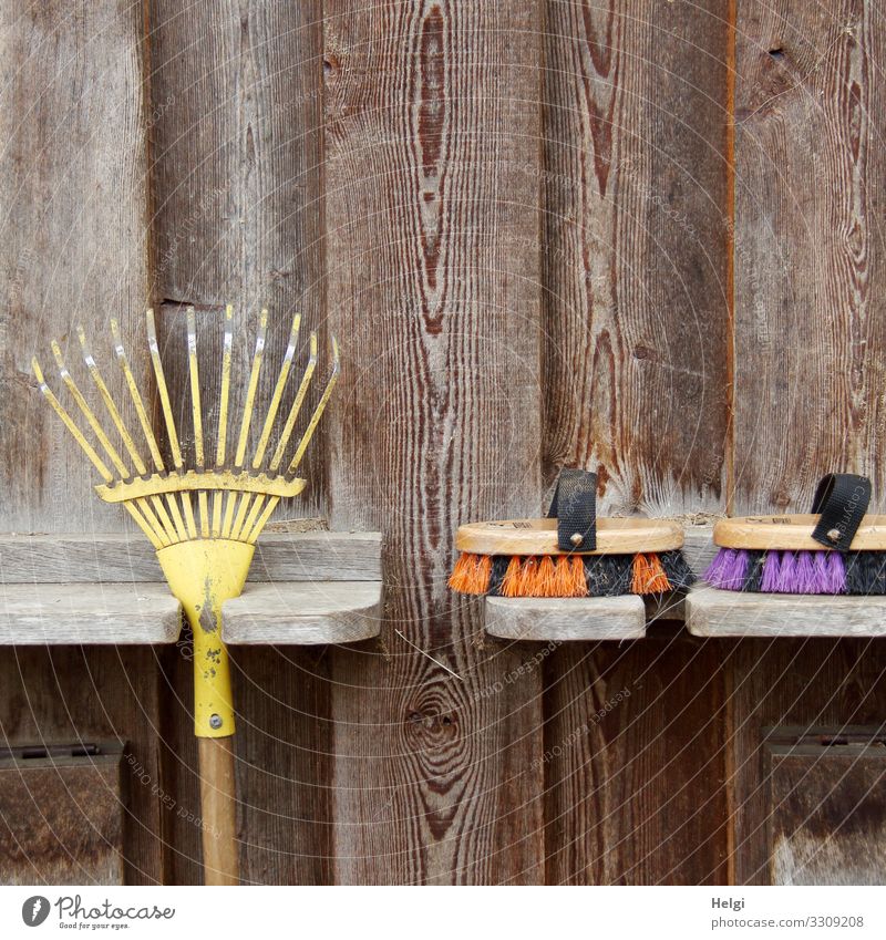 Putzzeug für Tiere an einer Holzwand Stall Mauer Wand Bürste Harke Ablage hängen liegen warten authentisch einfach einzigartig braun gelb violett orange schwarz