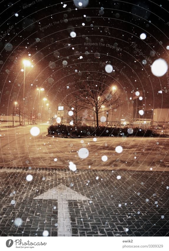 Schneeballerei Nachthimmel Winter Schneefall Baum Sträucher Polen Parkplatz Parkplatzbeleuchtung Straße Pfeil fallen leuchten dunkel Schneeflocke Supermarkt