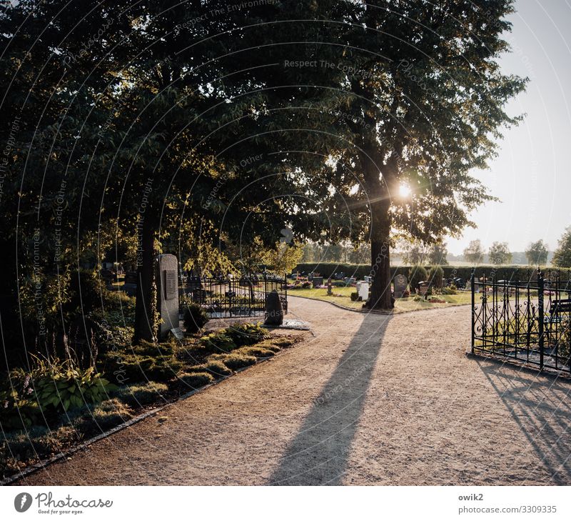 Kirchhof Horizont Sonne Baum Gras Sträucher Wege & Pfade Friedhof Grab Hecke kiesbedeckt Schotterweg Kies Zaun Holz Metall leuchten trösten ruhig Hoffnung