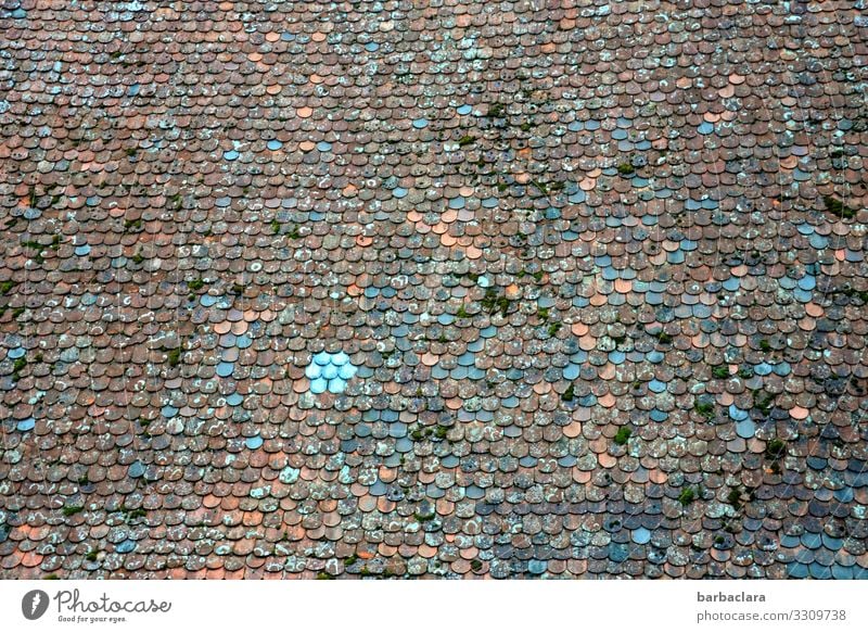 Schindeldach Häusliches Leben Haus Gebäude Dach Dachziegel alt ästhetisch historisch mehrfarbig Farbe nachhaltig Stil Tradition Vergänglichkeit