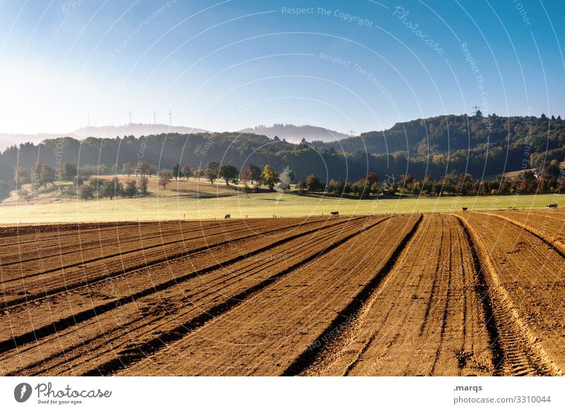 Acker Ackerbau Feld Landwirtschaft Erde Himmel ländlich braun Ernte Landschaft Natur Schönes Wetter Sommer Ackerland Biologische Landwirtschaft Umwelt Hügel