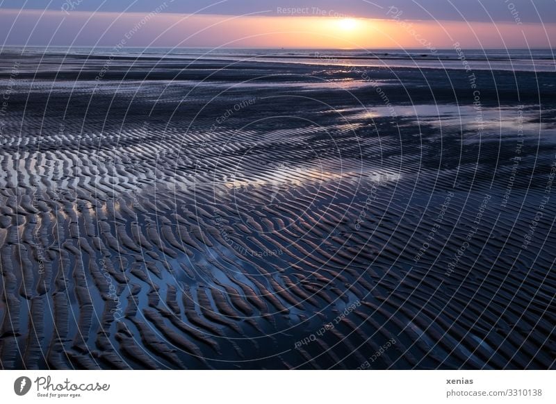 Sonnenuntergang am Strand an der Nordsee Ferien & Urlaub & Reisen Tourismus Sommerurlaub Horizont Wattenmeer Meer Insel Umwelt Natur Landschaft Himmel Wolken