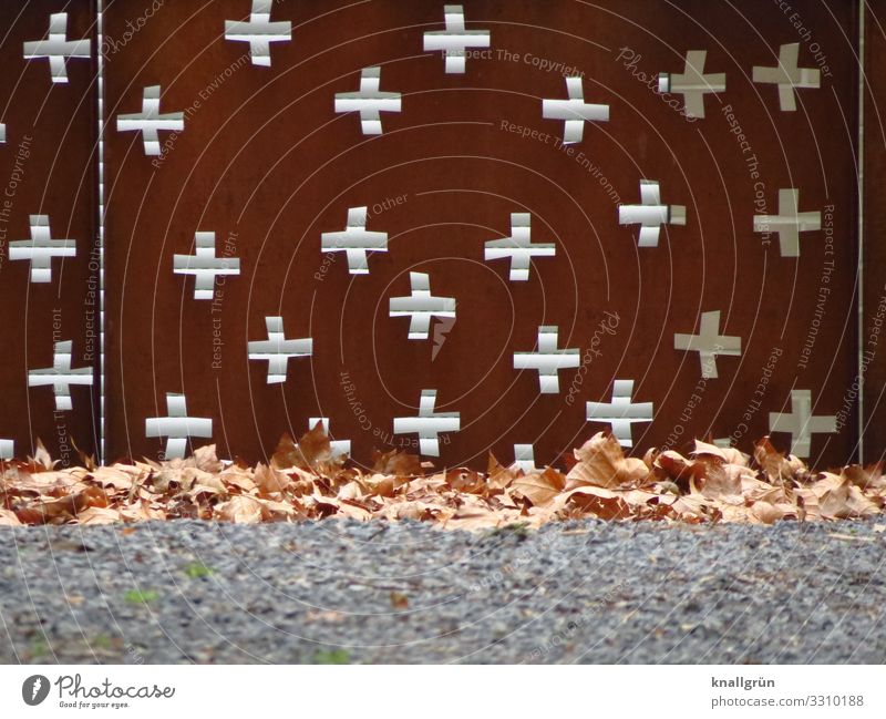 Kirchhof Natur Gras Blatt Zaun Zeichen Ornament Kreuz braun grün Religion & Glaube Schutz Stadt Rost Metallzaun Winter welk Farbfoto Außenaufnahme Menschenleer