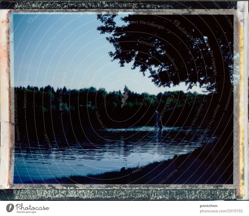 Polaroid. Landschaftsaufnahme. Idyllischer See am Abend. Freizeit & Hobby Ausflug Seeufer Stimmung friedlich ruhig Wasser Rahmen dunkel Baum Natur Himmel