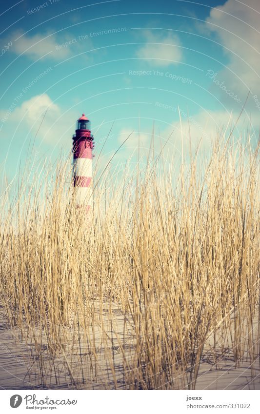 Aus Landschaft Himmel Wolken Sommer Hügel Insel Amrum Düne Dünengras Leuchtturm alt groß hoch blau braun gelb rot weiß Ferien & Urlaub & Reisen Farbfoto