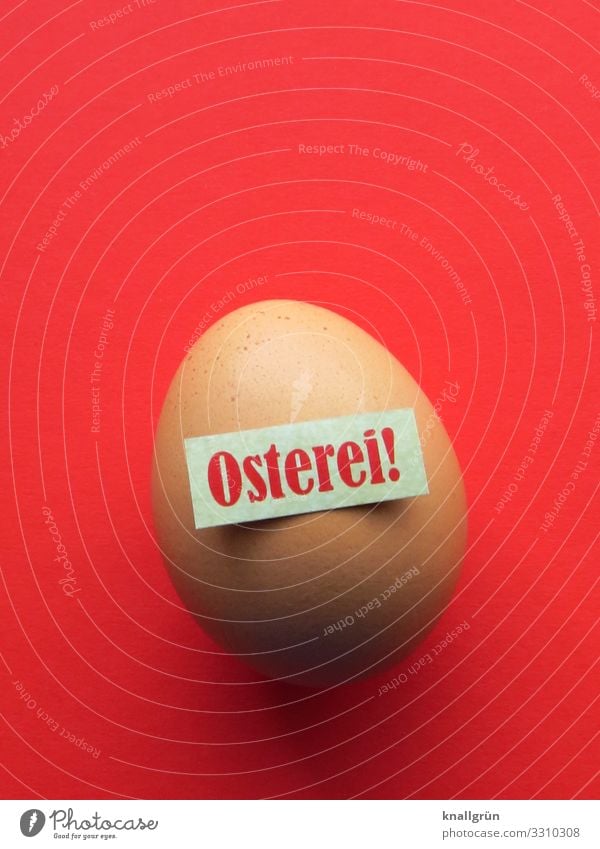 Osterei Kreativität Ostern Ei Frühling Feste & Feiern Tradition Dekoration & Verzierung Studioaufnahme Vogelperspektive Symbole & Metaphern Design Farbfoto Wort