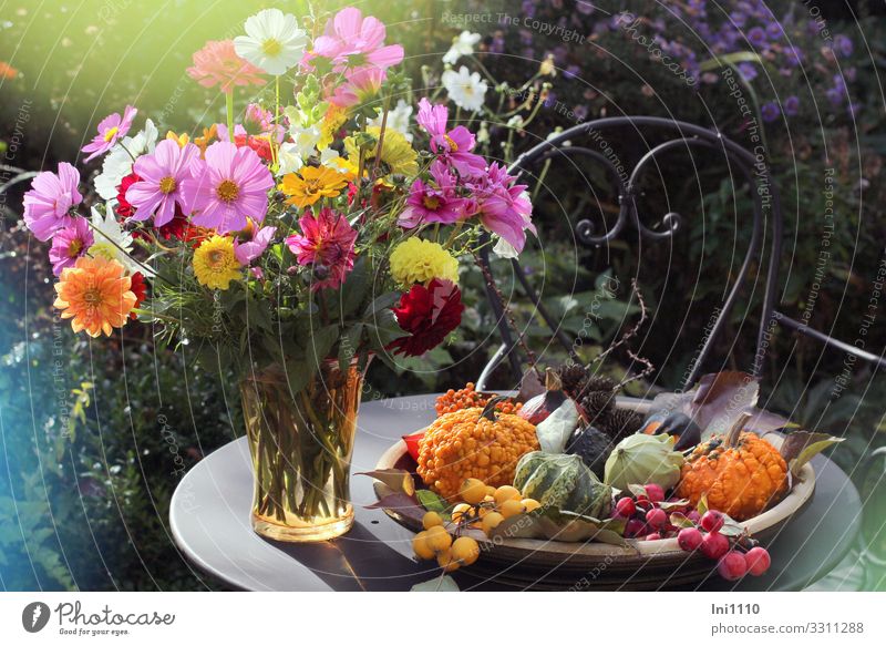 Zierkürbisse in flacher Schale und ein Blumenstrauß in Glasvase stehen auf kleinem Metalltisch draußen auf der Terrasse Herbst Garten Gartenidylle Dahlien