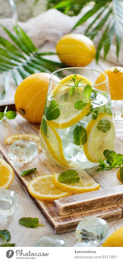 Hausgemachte erfrischende Limonade Frucht Getränk Saft Sommer Blatt natürlich gelb grün weiß Zitrone Minze orange Zitrusfrüchte Glas Palma de Mallorca tropisch