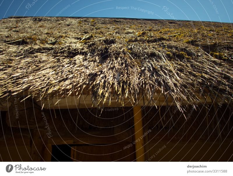 Überdacht ist die Hütte mit Stroh. Ein Blauer Himmel im Hintergrund. Design Ausflug Sommer Traumhaus Umwelt Schönes Wetter Strohdach Strand Erlangen Bayern