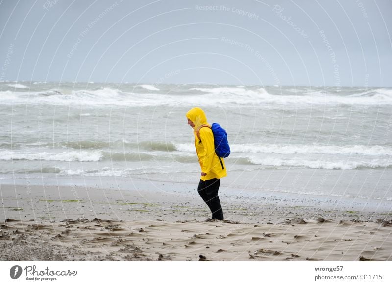 Gegenwind Ferien & Urlaub & Reisen Strand Meer Mensch feminin Frau Erwachsene Weiblicher Senior 1 45-60 Jahre Natur Herbst schlechtes Wetter Sturm Regen Wellen