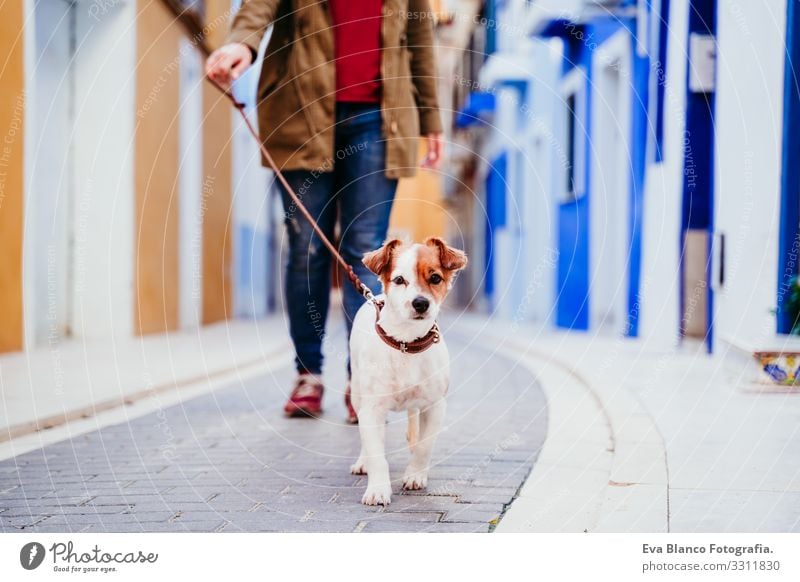 junge frau und ihr süßer jack russell hund gehen an einer bunten Straße in der Stadt spazieren. reisekonzept Frau Hund gelber Hintergrund Großstadt mehrfarbig