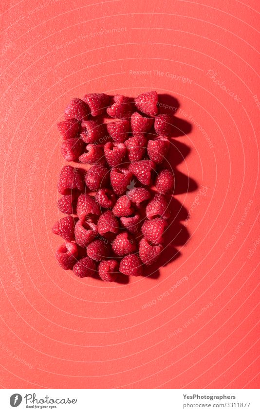 Frische Himbeeren auf einem roten Tisch. Rote Beeren im Sonnenlicht Frucht Gesunde Ernährung frisch obere Ansicht Hintergrund Korallenfarbe Diätnahrung